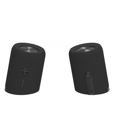 Champion Trådlös högtalare