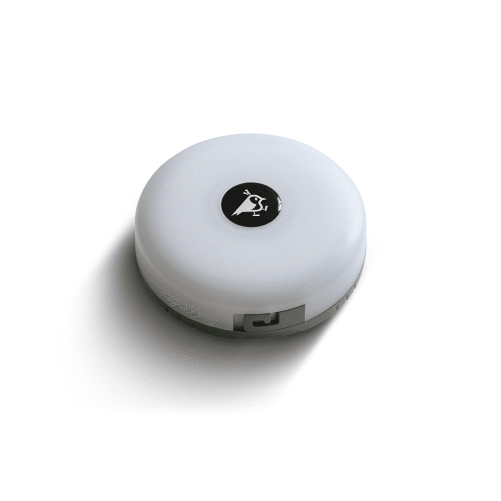 Aqiila Loop Light BL2